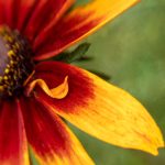 特黄录像视频三节片 2ja4zqe