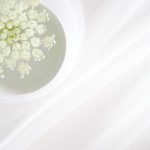 touchgal官网最新版本下载:获取最新功能与优化体验的最佳选择 etcqirz7ht